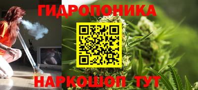 хмурый Брянск