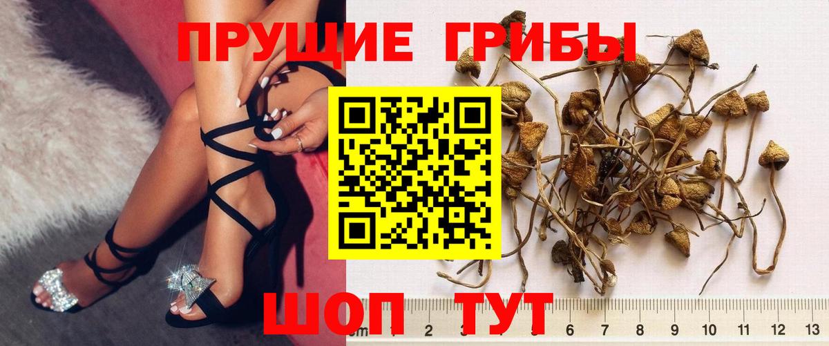 Галлюциногенные грибы GOLDEN TEACHER  Псилоцибиновые грибы Magic Shrooms  Вход с VPN  Реж 