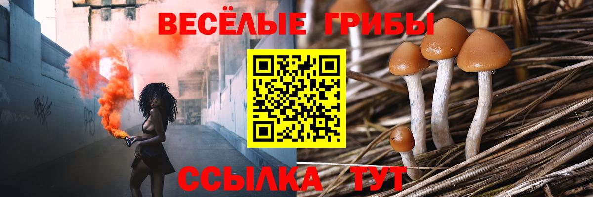 Галлюциногенные грибы Реж
